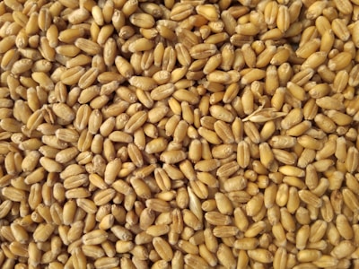 Fertilizer Trading India - Agricultural fertilizer distribution